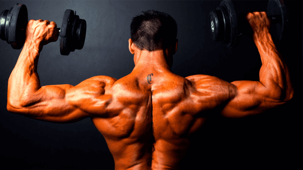 Los mejores ejercicios para desarrollar los hombros