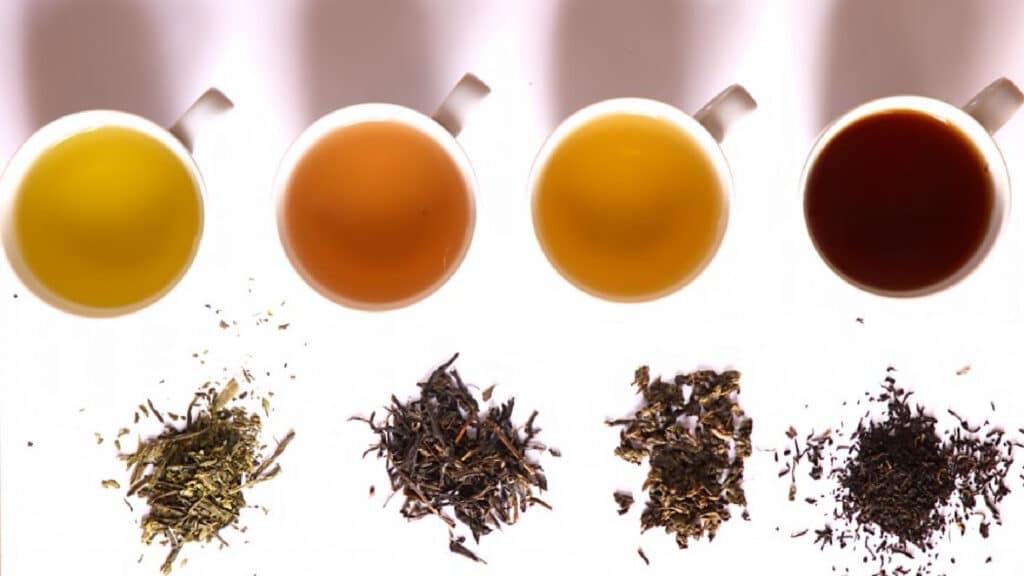Tipos y beneficios del té