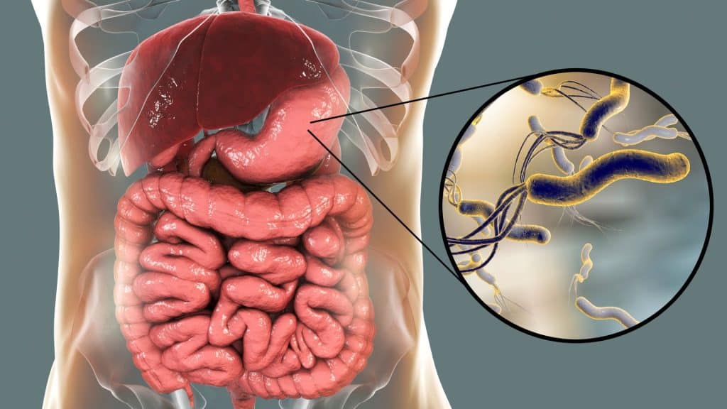 ¿Cuál es la enfermedad más peligrosa del sistema digestivo?
