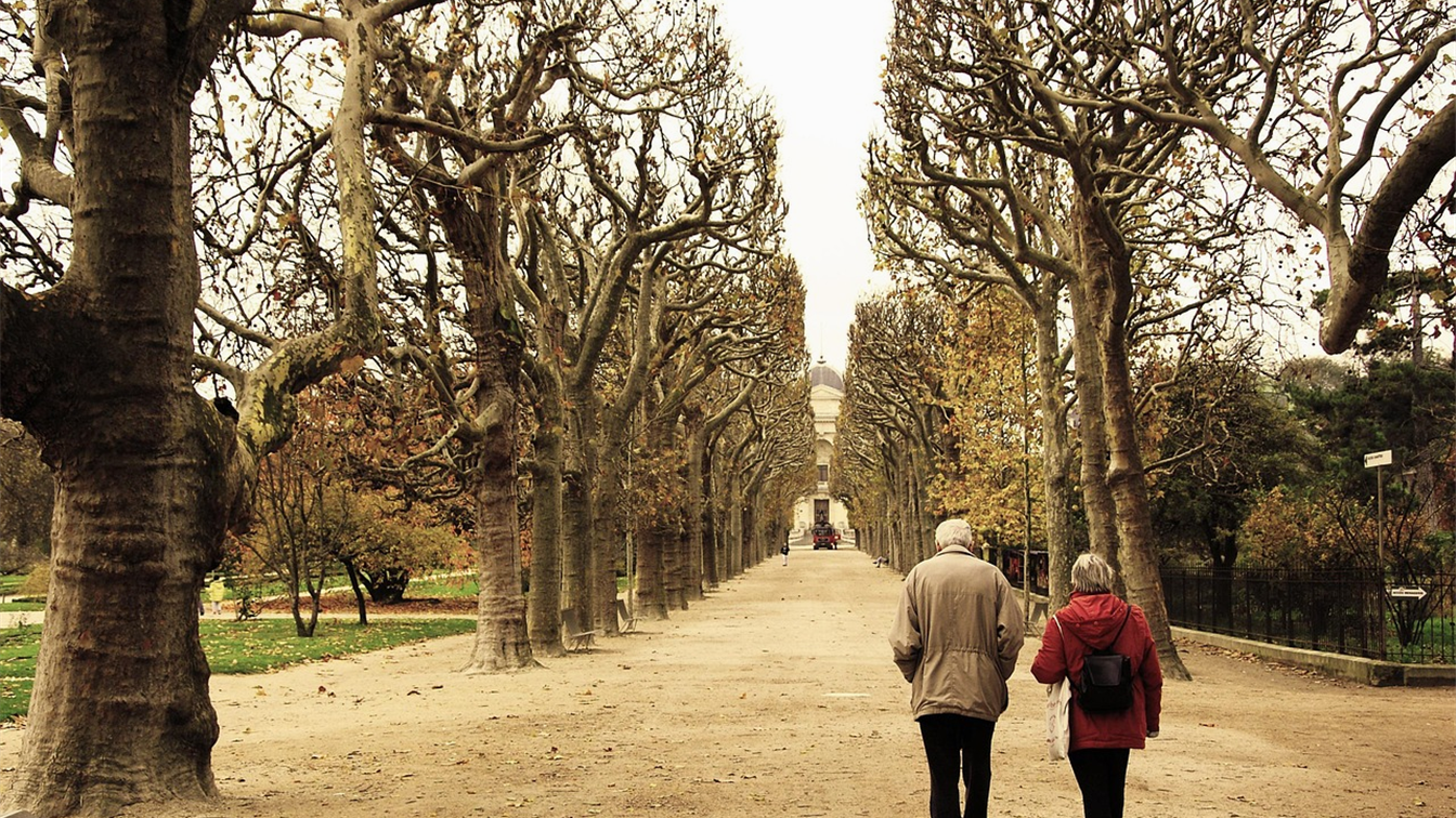 Pareja paseando por un parque arbolado